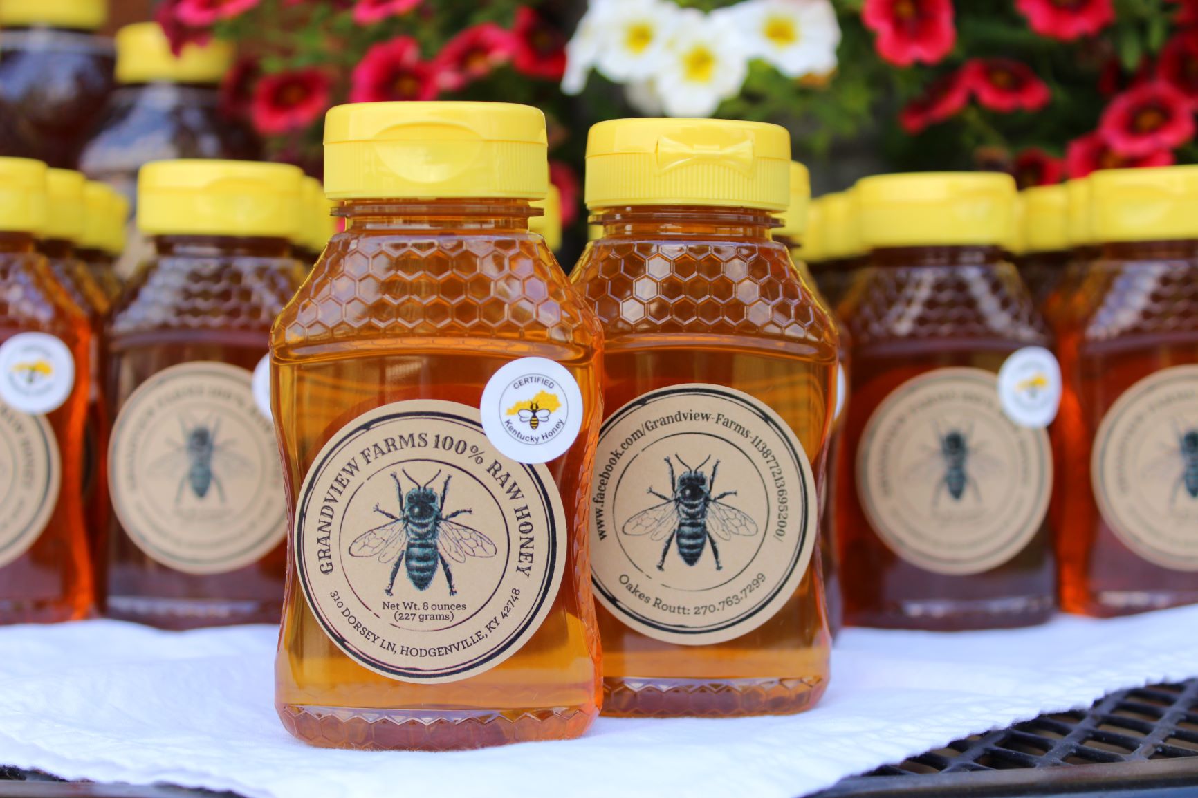 Raw, Unfiltered Honey in Squeeze Bottle – Grandview Farm