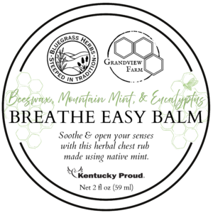 Beeswax, Mint, & Eucalyptus Salve